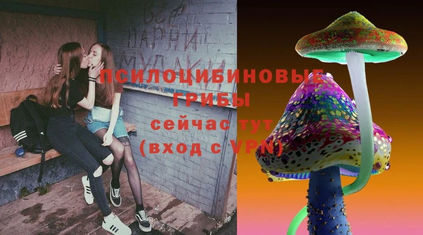 стафф Михайловск