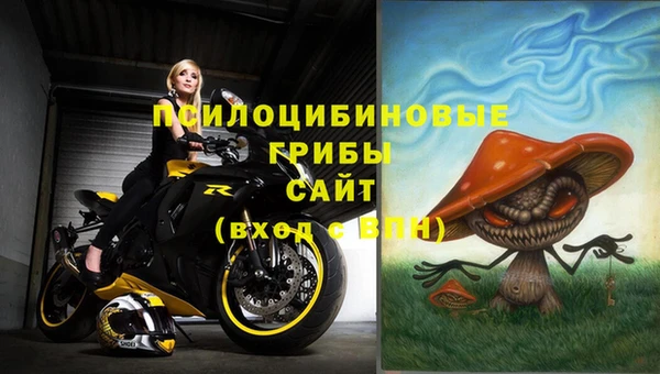 стаф Навашино