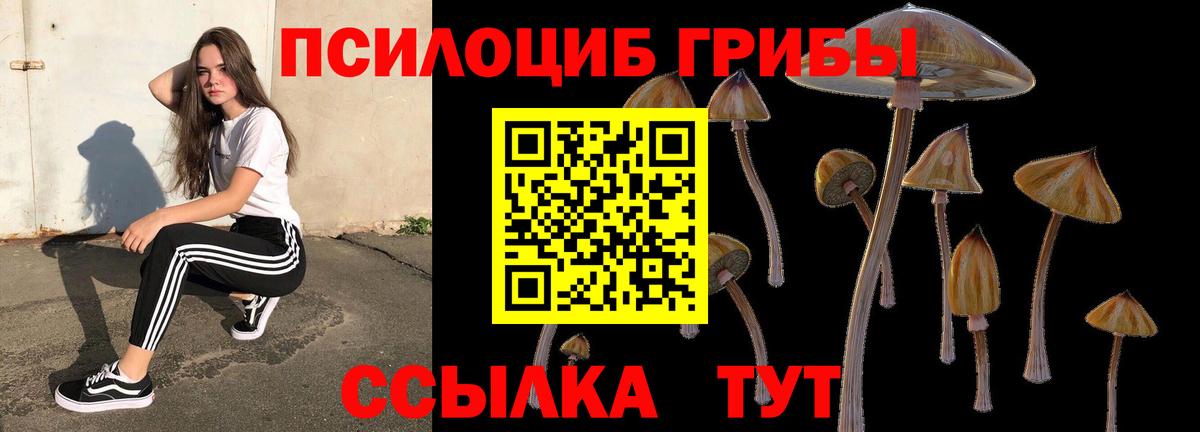 Галлюциногенные грибы Cubensis  Псилоцибиновые грибы Magic Shrooms  Новоалександровск  Вход с VPN 
